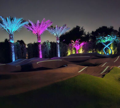 programmable-landscape-lighting-for-your-home-or-business-04