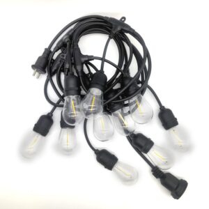 Cafe Lights or Bulb String Lights