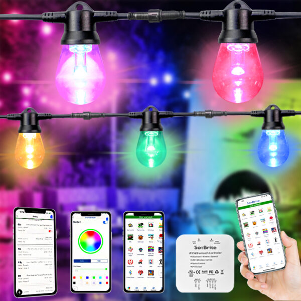 Bulb String Lights GLMD181-RGBW