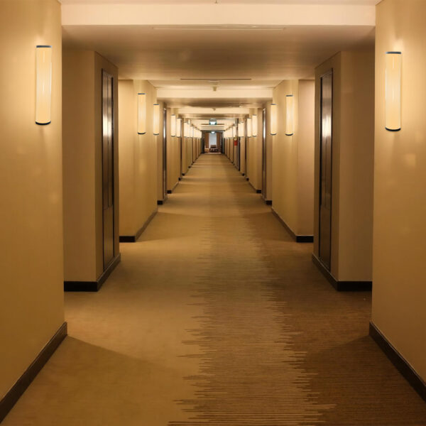 LED Wall Light WY6W-RGBW